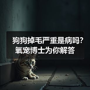 狗狗掉毛严重是病吗?氧宠博士为你解答(图2) 狗狗掉毛严重是病吗?氧宠博士为你解答(图2)