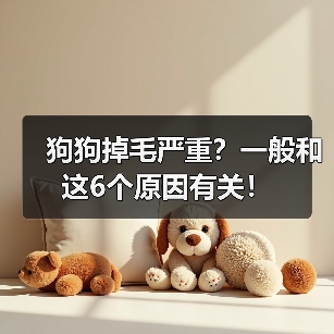 狗狗掉毛严重?一般和这6个原因有关!(图1) 狗狗掉毛严重?一般和这6个原因有关!(图1)