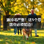 猫掉毛严重?这5个原因你必须知道!(图4) 猫掉毛严重?这5个原因你必须知道!(图4)