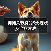 狗狗关节炎的5大症状及治疗方法(图1) 狗狗关节炎的5大症状及治疗方法(图1)