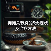 狗狗关节炎的5大症状及治疗方法(图3) 狗狗关节炎的5大症状及治疗方法(图3)