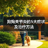 狗狗关节炎的5大症状及治疗方法(图4) 狗狗关节炎的5大症状及治疗方法(图4)