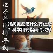 狗狗腿疼吃什么药止疼?科学用药指南请收好!(图3) 狗狗腿疼吃什么药止疼?科学用药指南请收好!(图3)