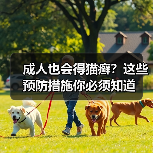 成人也会得猫癣?这些预防措施你必须知道(图4) 成人也会得猫癣?这些预防措施你必须知道(图4)