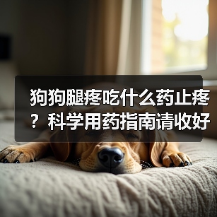 狗狗腿疼吃什么药止疼?科学用药指南请收好!(图4) 狗狗腿疼吃什么药止疼?科学用药指南请收好!(图4)