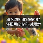 猫咪皮癣可以在家治?详细用药清单+处理步骤分享!(图1) 猫咪皮癣可以在家治?详细用药清单+处理步骤分享!(图1)
