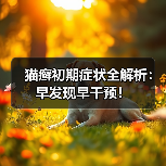 猫癣初期症状全解析:早发现早干预!(图4) 猫癣初期症状全解析:早发现早干预!(图4)