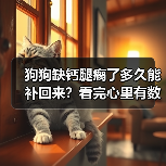 狗狗缺钙腿瘸了多久能补回来?看完心里有数了(图3) 狗狗缺钙腿瘸了多久能补回来?看完心里有数了(图3)
