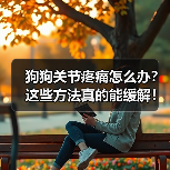 狗狗关节疼痛怎么办?这些方法真的能缓解!(图1) 狗狗关节疼痛怎么办?这些方法真的能缓解!(图1)