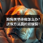 狗狗关节疼痛怎么办?这些方法真的能缓解!(图2) 狗狗关节疼痛怎么办?这些方法真的能缓解!(图2)
