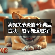 狗狗关节炎的9个典型症状,越早知道越好!(图1) 狗狗关节炎的9个典型症状,越早知道越好!(图1)