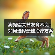 狗狗髋关节发育不良:如何选择最佳治疗方案?(图1) 狗狗髋关节发育不良:如何选择最佳治疗方案?(图1)
