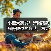小型犬高发!警惕狗狗髌骨脱位的症状,看完赶紧自查(图2) 小型犬高发!警惕狗狗髌骨脱位的症状,看完赶紧自查(图2)