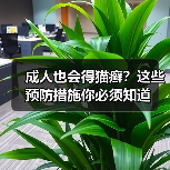 成人也会得猫癣?这些预防措施你必须知道(图2) 成人也会得猫癣?这些预防措施你必须知道(图2)