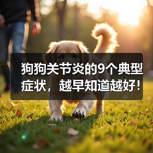 狗狗关节炎的9个典型症状,越早知道越好!(图4) 狗狗关节炎的9个典型症状,越早知道越好!(图4)