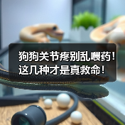 狗狗关节疼别乱喂药!这几种才是真救命!(图2) 狗狗关节疼别乱喂药!这几种才是真救命!(图2)