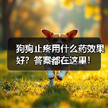 狗狗止疼用什么药效果好?答案都在这里!(图3) 狗狗止疼用什么药效果好?答案都在这里!(图3)