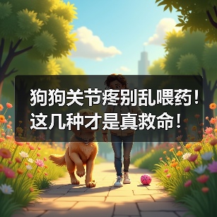 狗狗关节疼别乱喂药!这几种才是真救命!(图3) 狗狗关节疼别乱喂药!这几种才是真救命!(图3)