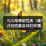 鸟儿带来的危害(候鸟迁徙现象及其对环境、农作物和人类健康的潜在影响)(图3) 鸟儿带来的危害(候鸟迁徙现象及其对环境、农作物和人类健康的潜在影响)(图3)