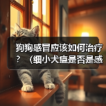 狗狗感冒应该如何治疗?(细小犬瘟是否是感冒的症状?应该如何辨别?)(图4) 狗狗感冒应该如何治疗?(细小犬瘟是否是感冒的症状?应该如何辨别?)(图4)