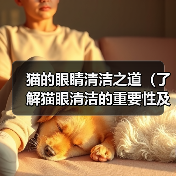 猫的眼睛清洁之道(了解猫眼清洁的重要性及正确方法)(图4) 猫的眼睛清洁之道(了解猫眼清洁的重要性及正确方法)(图4)