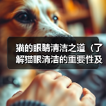 猫的眼睛清洁之道(了解猫眼清洁的重要性及正确方法)(图1) 猫的眼睛清洁之道(了解猫眼清洁的重要性及正确方法)(图1)