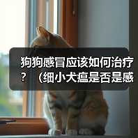 狗狗感冒应该如何治疗?(细小犬瘟是否是感冒的症状?应该如何辨别?)(图2) 狗狗感冒应该如何治疗?(细小犬瘟是否是感冒的症状?应该如何辨别?)(图2)