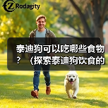 泰迪狗可以吃哪些食物?(探索泰迪狗饮食的世界,了解合适的食物和禁忌)(图1) 泰迪狗可以吃哪些食物?(探索泰迪狗饮食的世界,了解合适的食物和禁忌)(图1)