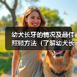 幼犬长牙的情况及最佳照顾方法(了解幼犬长牙的时间和注意事项)(图4) 幼犬长牙的情况及最佳照顾方法(了解幼犬长牙的时间和注意事项)(图4)