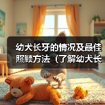 幼犬长牙的情况及最佳照顾方法(了解幼犬长牙的时间和注意事项)(图3) 幼犬长牙的情况及最佳照顾方法(了解幼犬长牙的时间和注意事项)(图3)