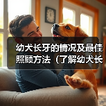 幼犬长牙的情况及最佳照顾方法(了解幼犬长牙的时间和注意事项)(图1) 幼犬长牙的情况及最佳照顾方法(了解幼犬长牙的时间和注意事项)(图1)