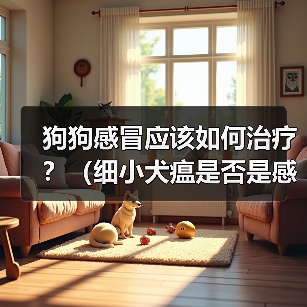 狗狗感冒应该如何治疗?(细小犬瘟是否是感冒的症状?应该如何辨别?)(图1) 狗狗感冒应该如何治疗?(细小犬瘟是否是感冒的症状?应该如何辨别?)(图1)