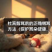 杜宾剪耳后的正确绑耳方法(保护耳朵健康,让宠物更迷人)(图3) 杜宾剪耳后的正确绑耳方法(保护耳朵健康,让宠物更迷人)(图3)