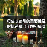 母猫咬脐带的重要性及时机选择(了解母猫咬脐带的作用和适当时机,保护新生猫崽的健康成长)(图3) 母猫咬脐带的重要性及时机选择(了解母猫咬脐带的作用和适当时机,保护新生猫崽的健康成长)(图3)