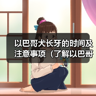 以巴哥犬长牙的时间及注意事项(了解以巴哥犬长牙的周期和保健方法)(图4) 以巴哥犬长牙的时间及注意事项(了解以巴哥犬长牙的周期和保健方法)(图4)