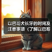 以巴哥犬长牙的时间及注意事项(了解以巴哥犬长牙的周期和保健方法)(图1) 以巴哥犬长牙的时间及注意事项(了解以巴哥犬长牙的周期和保健方法)(图1)
