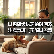 以巴哥犬长牙的时间及注意事项(了解以巴哥犬长牙的周期和保健方法)(图2) 以巴哥犬长牙的时间及注意事项(了解以巴哥犬长牙的周期和保健方法)(图2)