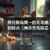 探究智商第一的无毛猫的缺点(揭示无毛猫品种存在的问题及考量)(图2) 探究智商第一的无毛猫的缺点(揭示无毛猫品种存在的问题及考量)(图2)