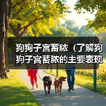 狗狗子宫蓄脓(了解狗狗子宫蓄脓的主要表现,及时采取措施保护它们的健康)(图4) 狗狗子宫蓄脓(了解狗狗子宫蓄脓的主要表现,及时采取措施保护它们的健康)(图4)