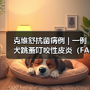 克维舒抗菌病例 | 一例犬跳蚤叮咬性皮炎(FAD)的病例分析(图1) 克维舒抗菌病例 | 一例犬跳蚤叮咬性皮炎(FAD)的病例分析(图1)