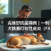 克维舒抗菌病例 | 一例犬跳蚤叮咬性皮炎(FAD)的病例分析(图2) 克维舒抗菌病例 | 一例犬跳蚤叮咬性皮炎(FAD)的病例分析(图2)