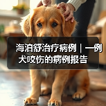 海泊舒治疗病例 | 一例犬咬伤的病例报告(图1) 海泊舒治疗病例 | 一例犬咬伤的病例报告(图1)