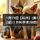 1月19日【杭州】(第122期)丨外科手术(中阶)实战班,2人/组提供一猫一狗,实操超多!(图4) 1月19日【杭州】(第122期)丨外科手术(中阶)实战班,2人/组提供一猫一狗,实操超多!(图4)