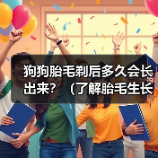 狗狗胎毛剃后多久会长出来?(了解胎毛生长周期和影响因素,助你更好地照顾宠物)(图2) 狗狗胎毛剃后多久会长出来?(了解胎毛生长周期和影响因素,助你更好地照顾宠物)(图2)