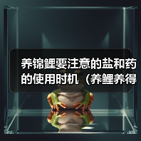 养锦鲤要注意的盐和药的使用时机(养鲤养得好,水质药浴要到位)(图1) 养锦鲤要注意的盐和药的使用时机(养鲤养得好,水质药浴要到位)(图1)