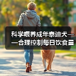 科学喂养成年泰迪犬——合理控制每日饮食量的重要性(成年泰迪犬的日常饮食要求及合理摄入量)(图3) 科学喂养成年泰迪犬——合理控制每日饮食量的重要性(成年泰迪犬的日常饮食要求及合理摄入量)(图3)