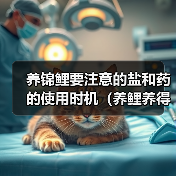 养锦鲤要注意的盐和药的使用时机(养鲤养得好,水质药浴要到位)(图2) 养锦鲤要注意的盐和药的使用时机(养鲤养得好,水质药浴要到位)(图2)