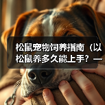 松鼠宠物饲养指南(以松鼠养多久能上手?——解决你对松鼠宠物的疑惑)(图2) 松鼠宠物饲养指南(以松鼠养多久能上手?——解决你对松鼠宠物的疑惑)(图2)