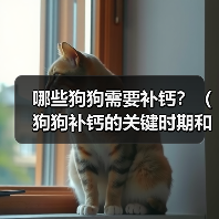 哪些狗狗需要补钙?(狗狗补钙的关键时期和方法)(图2) 哪些狗狗需要补钙?(狗狗补钙的关键时期和方法)(图2)