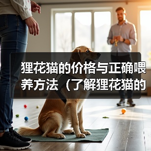 狸花猫的价格与正确喂养方法(了解狸花猫的市场价格及喂养要点)(图3) 狸花猫的价格与正确喂养方法(了解狸花猫的市场价格及喂养要点)(图3)
